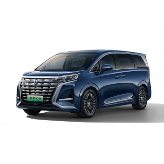 Denza D9 DM-i Super Hybrid 2024