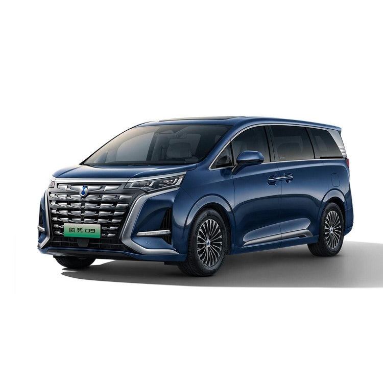Denza D9 DM-i Super Hybrid 2024