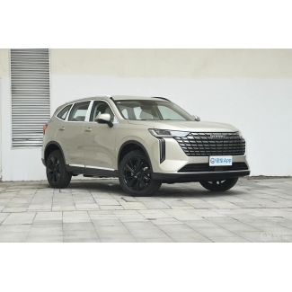 Haval H6 2024 1.5T Two-Wheel Drive Pro