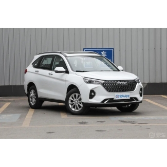 Haval M6 2024 PLUS 1.5T DCT Peanut Custom