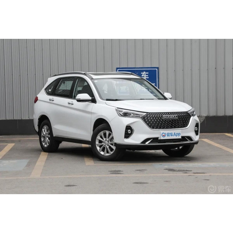 Haval M6 2024 PLUS 1.5T DCT Peanut Custom