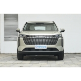 Haval H6 2024 1.5T Two-Wheel Drive Pro