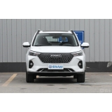 Haval M6 2024 PLUS 1.5T DCT Peanut Custom