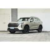 Haval H6 2024 1.5T Two-Wheel Drive Pro
