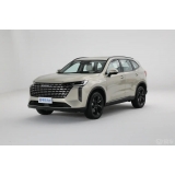 Haval H6 2024 2.0T AWD Max