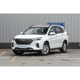 Haval M6 2024 PLUS 1.5T DCT Peanut Custom