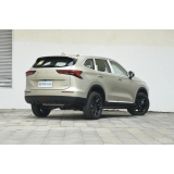 Haval H6 2024 1.5T Two-Wheel Drive Pro