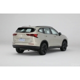 Haval H6 2024 2.0T AWD Max