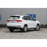 Haval M6 2024 PLUS 1.5T DCT Peanut Custom