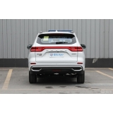 Haval M6 2024 PLUS 1.5T DCT Peanut Custom