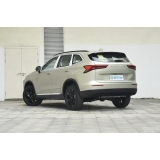 Haval H6 2024 1.5T Two-Wheel Drive Pro