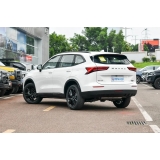 Haval H6 2024 2.0T DCT Max