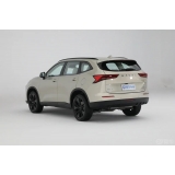 Haval H6 2024 2.0T AWD Max