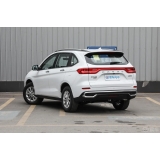 Haval M6 2024 PLUS 1.5T DCT Peanut Custom