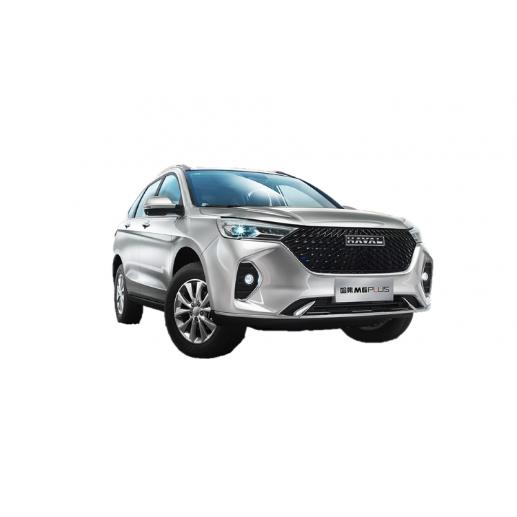 Haval M6 PLUS Elite Intelligent type