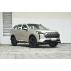 Haval H6 2024 1.5T Two-Wheel Drive Pro