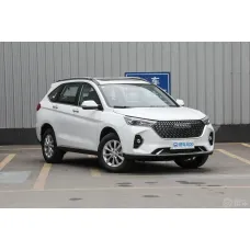 Haval M6 2024 PLUS 1.5T DCT Peanut Custom