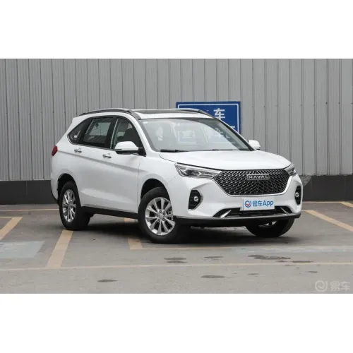 Haval M6 2024 PLUS 1.5T DCT Peanut Custom