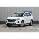 Haval M6 2024 PLUS 1.5T DCT Peanut Custom