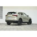 Haval H6 2024 1.5T Two-Wheel Drive Pro