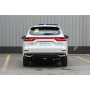 Haval M6 2024 PLUS 1.5T DCT Peanut Custom