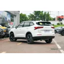 Haval H6 2024 2.0T DCT Max
