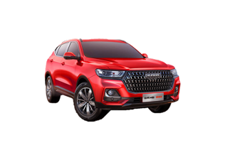 Haval H6 National Tide Edition Champion